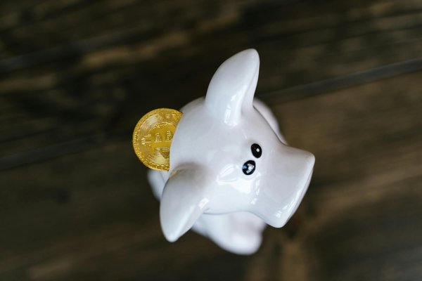 La finance internationale et les pays en développement